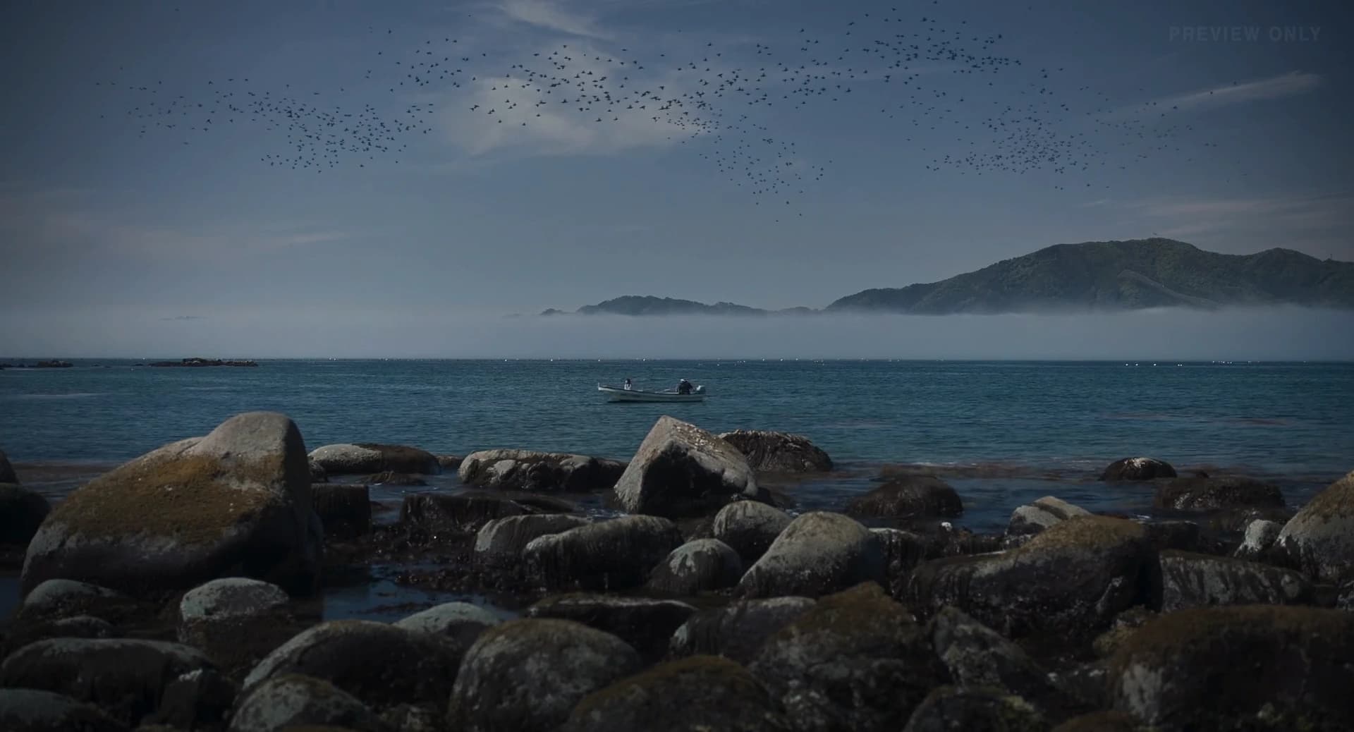 Last Shadow At First Light 02 Bird Flocking Simulation Nervous Fx Vfx