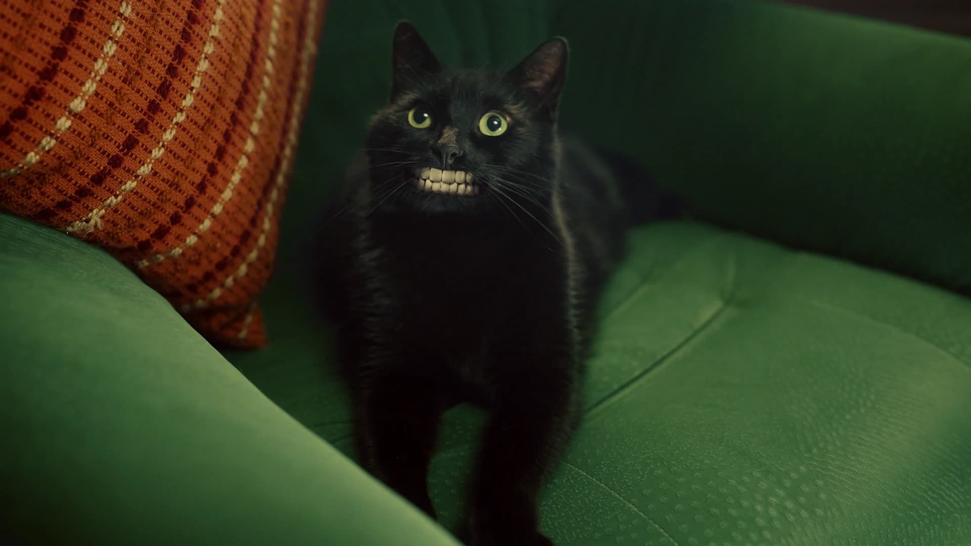 Cat With Human Smile VFX